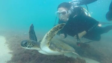 Mergulho Batismo - Paraíso das Tartarugas